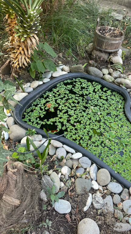 Гостиница Верещагинский Сочи-27