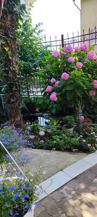 Гостиница Верещагинский Сочи-3